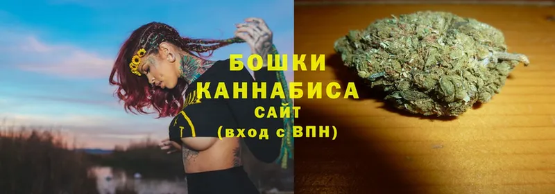 где найти наркотики  Сосновка  Бошки Шишки SATIVA & INDICA 